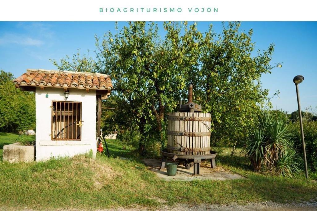 Bio Agriturismo Vojon Villa Ponti sul Mincio Ngoại thất bức ảnh