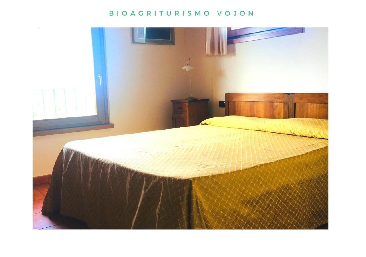 Bio Agriturismo Vojon Ponti sul Mincio Ngoại thất bức ảnh