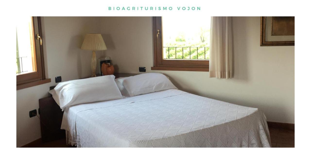 Bio Agriturismo Vojon Villa Ponti sul Mincio Ngoại thất bức ảnh