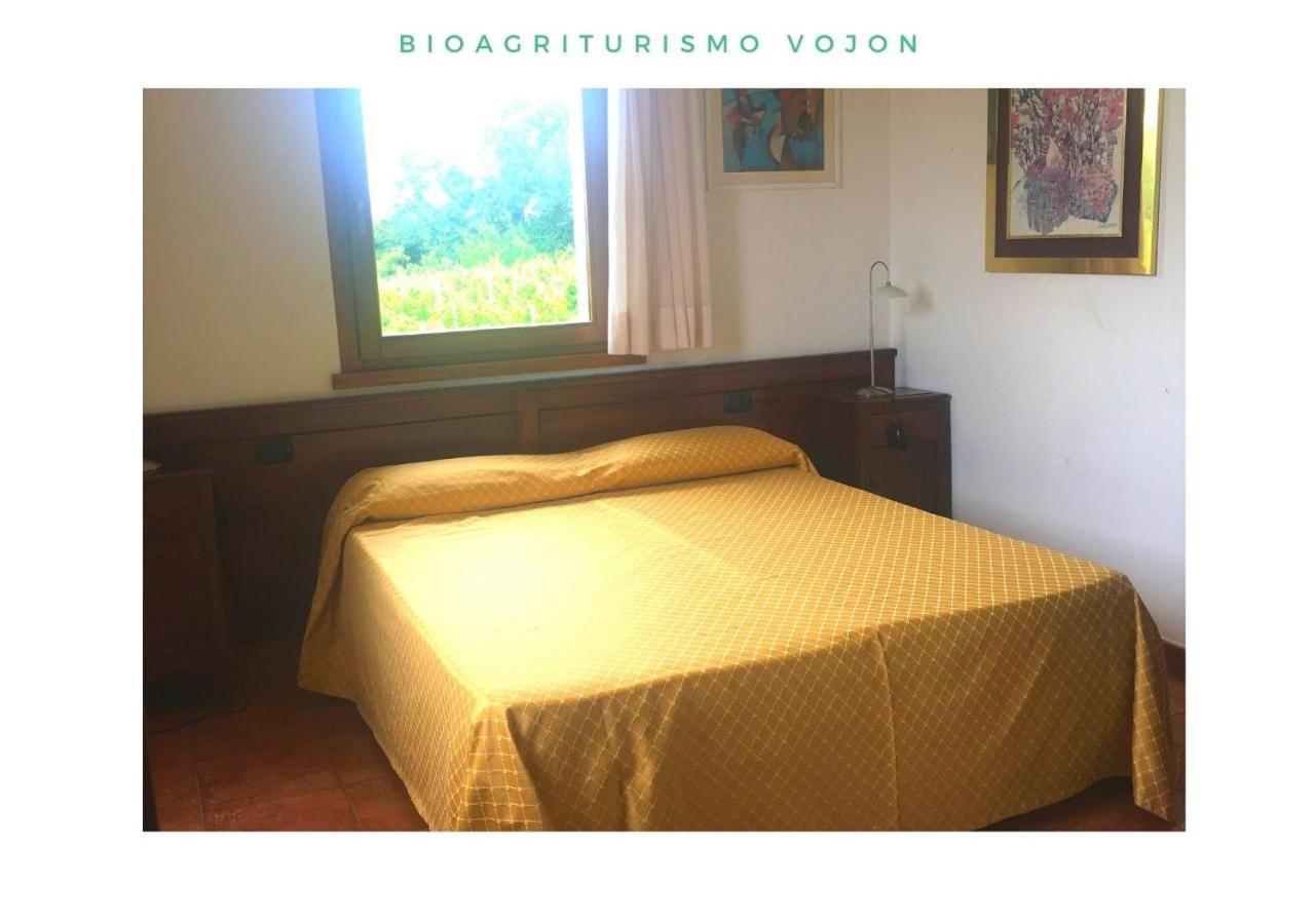 Bio Agriturismo Vojon Villa Ponti sul Mincio Ngoại thất bức ảnh