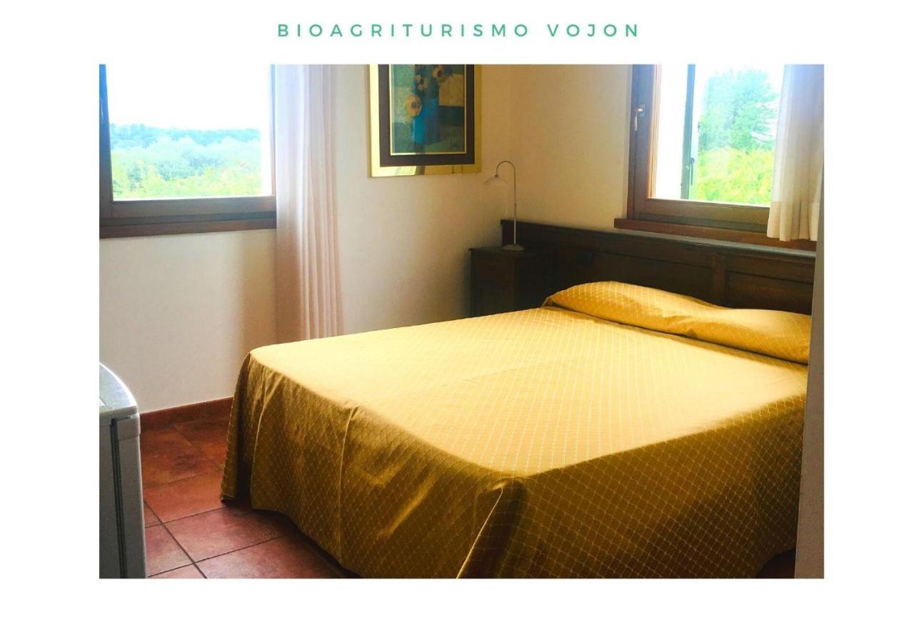 Bio Agriturismo Vojon Ponti sul Mincio Ngoại thất bức ảnh